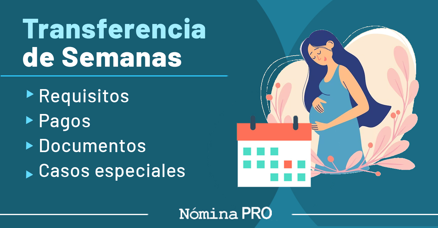 Que Es Y Cómo Se Solicita La Transferencia De Semanas